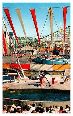 Pacific Ocean Park  Sea Circus  Santa Monica California  Postcard • $4.95