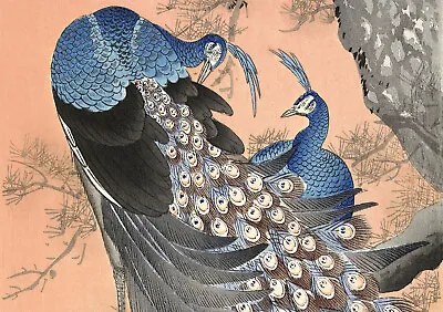 12269.Decoration POSTER.Room Interior Wall Art Decor.Chinese Painting.Peacocks • $29