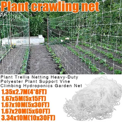 Plant Support Netting Fruit Climbing Mesh Garden Vegetable Pea Bean Grow Fence • £5.50