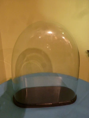 £150 • Buy Large Victorian Glass Dome Display Clock / Taxidermy (1)