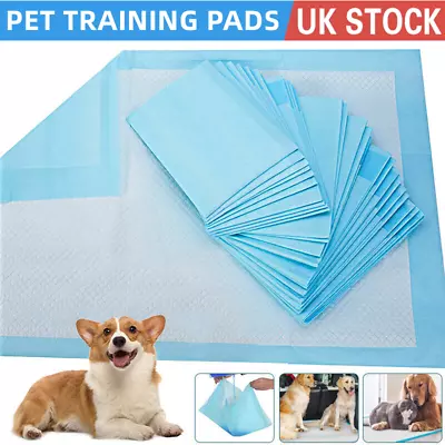£9.94 • Buy 50 Large Puppy Training Trainer Train Pads Toilet Pee Wee Poo Dog Pet Cat Mats
