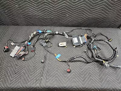 96-98 Ford Mustang SVT Cobra 4.6L DOHC ECU Computer Wiring Harness 1996-1998 • $224.99