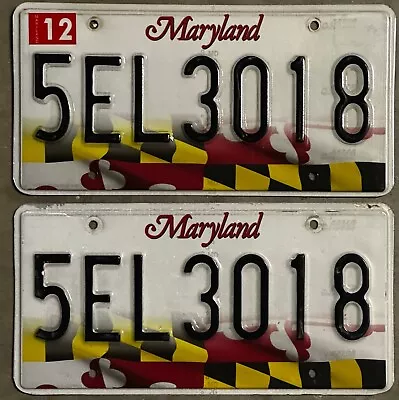 Maryland License Plate Pair - Colorful Checkboard Flag - 5el3018 Dec 2020 • $29.99