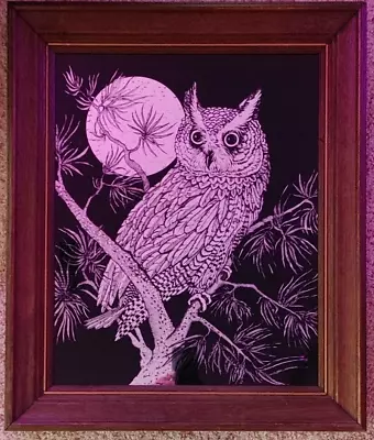 Vintage Mid Century Great Horned Owl Reverse Image Mirror Framed 21  X 25  • $50.99