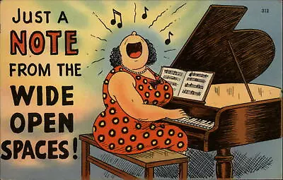 Comic Pun Wide Open Spaces Big Mouth Piano Singer ~ 1940s Linen Postcard • $1.99