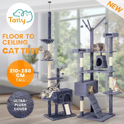 $75.95 • Buy Taily 210-280cm Cat Tree Trees Scratching Post Scratcher Tower Condo House Grey