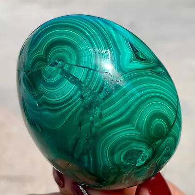 274G Natural Glossy Malachite Egg Transparent Crystal Mineral Sample Healing • $132