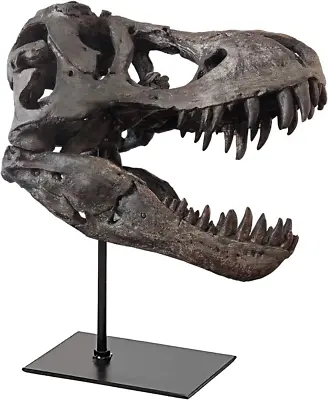 T-Rex Skull Statue Home Office Desktop Shelf Decor Dinosaur Head Sculptures Tyra • $189.99