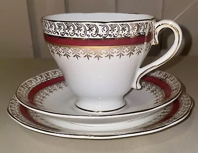 Vintage Salisbury SARUM Bone China Trio Burgundy Band Gold Trim England C1960s • $19.95