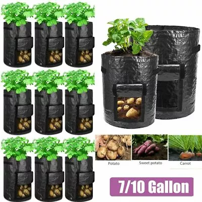 LOT 7/10Gallon Garden Planting Pots Grow Planter Bags For Potato Carrot Onion • $11.20