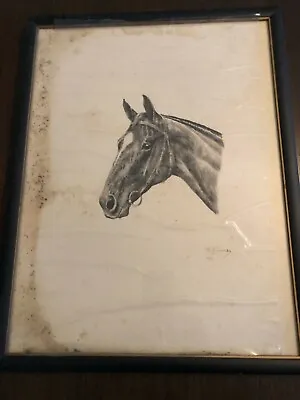  Marguerite Kirmse  VERY RARE ' Man O War' HORSE Original Etching Print Signed   • $1500