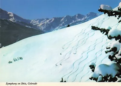$5.99 • Buy Vail CO Colorado, Symphony On Skiis, Skiers On Fresh Powder, Vintage Postcard