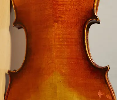 Old Vintage Violin 4/4 Geige Viola Cello Fiddle Label GIUSEPPE DELLACANI Nr.1648 • $420.66
