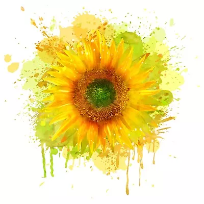 £2.99 • Buy Girls Sunflower  Iron On T-Shirt Transfer Print Free P&P
