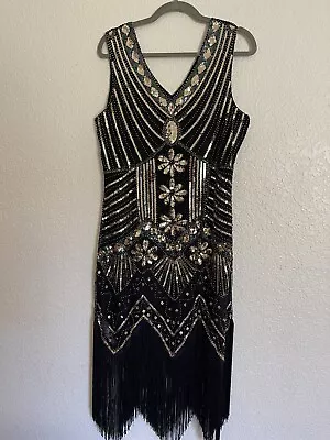 1920s Flapper Dresses Costumes • $10