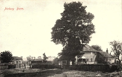 £8.95 • Buy Norbury Postcard 1905 Croydon The Farm Farmhouse Yard & Barn Unwritten Surrey