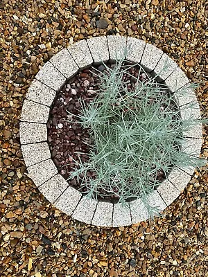 78 Cream Garden Brick Circle Tree Surround Grass Edging Border Natural Granite • £85