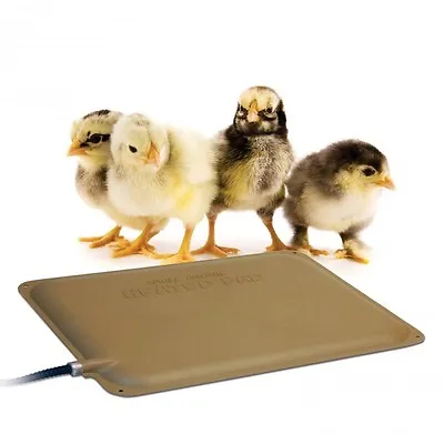 K&H Outdoor Chick Chicken Heater Heated Pad Thermo-Peep Pad Mat 9  X 12  • $39.99