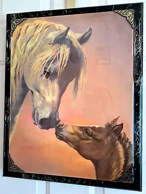 Horses Mare & Foal Wall Hanging Shiny Art Picture 20 X16  Framed • $20