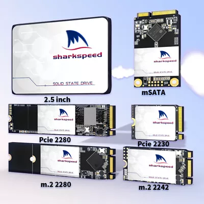 2.5'' MSATA M.2 2242 2280 Pcie 2230 SSD 256GB 512GB 1TB 2T Solid State Drive Lot • $168