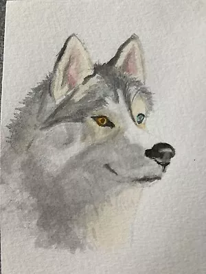 Original Not A Print ACEO Watercolour Signed & Dated. Husky Dog • £6