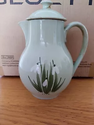 Holkham Studio Pottery Snowdrop Design Teapot • £5