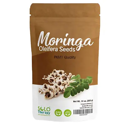 1000 Moringa Seeds Oleifera 10 Oz Semillas De Moringa  - Product From India PKM1 • $20.99