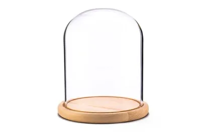 £17.90 • Buy High Quality Thick LARGE Glass Dome / Bell / Cloche W/ Wood Base (NATURAL)