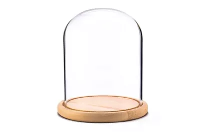 £17.90 • Buy High Quality Thick LARGE Glass Dome / Bell / Cloche W/ Wood Base (NATURAL)