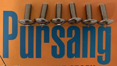 Bultaco Number Plate Side Panel Screws Stainless Vintage Ahrma Pursang Vmx Astro • $30.84