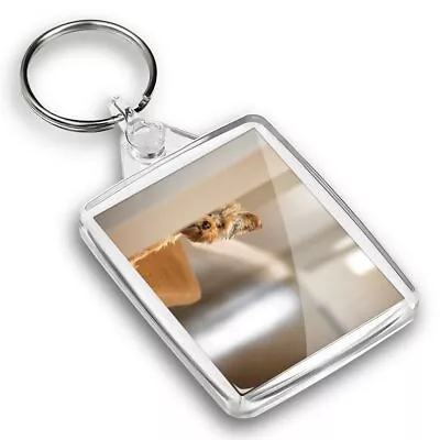 IP02 Passport Keyring  - Cute Yorkshire Terrier Dog Puppy  #44822 • £4.99