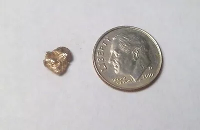 Natural Placer Gold Nugget .42 Grams Alaska Gold Low Starting Bid • $30