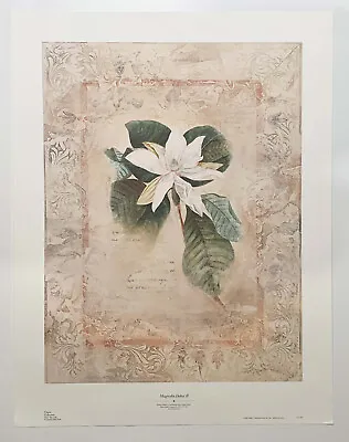 Magnolia Debut 11 By Susan Davies  Reproduction Print • £25