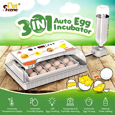 Automatic 20 Egg Incubator LED Candler Temperature Control Automatic Egg Turner • $99.95