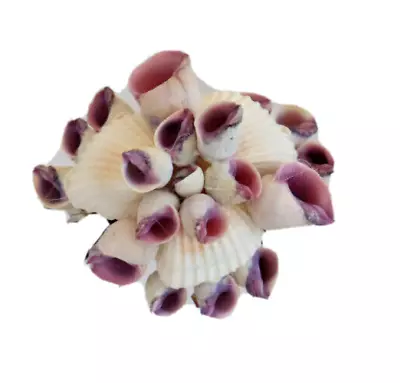 Seashell Hair Clip Barrette Hand Made Beach Mermaid Wedding Purple Lg 3 1/4 X 3 • $18