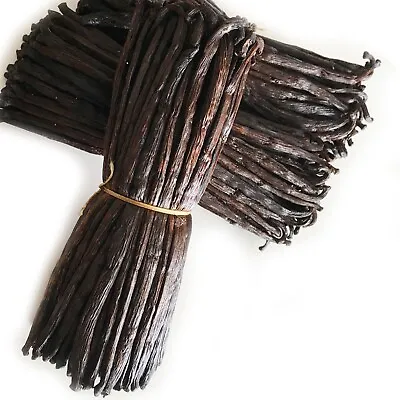 Fleshy Vanilla Beans 100% Quality Tested Natural Grade A Vanilla Packs NON GMO • $13