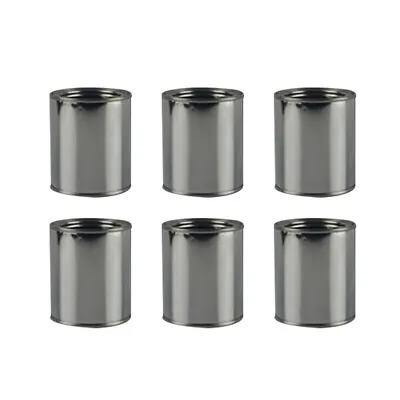  6 Pcs Paint Tin Cans Empty Lids Painting Garage Organizer Bucket Container Tank • £19.30