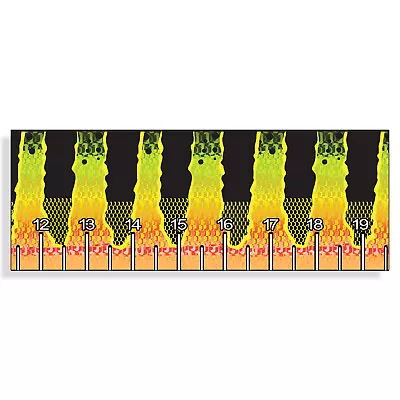 $7.99 • Buy Peacock Bass Fish Ruler Sticker Measuring 40  Tape Measure Boat Fishing Decal