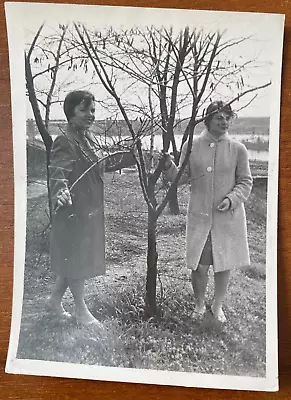 Beautiful Soviet Young Women Near Tree Vintage Photo • £5.31