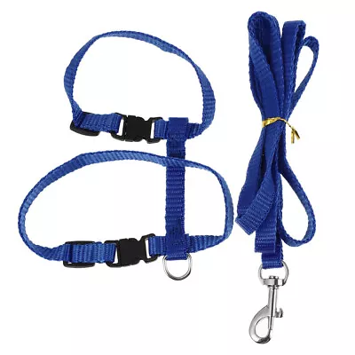 Small Pet Animals Training Harness Bunny Harness Leash Puppy Cat Harness Leash • $6.25