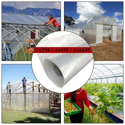 Reliable Clear Poly Film For Greenhouse Use Weather Resistant And Tear Proof • £14.40