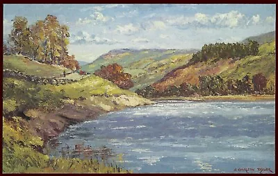 Gouthwaite By E Charlton Taylor.  Post Office Postcard NEPR7  [24712] • £0.99