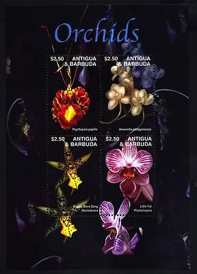 Antigua Ca 2003 Flowers Orchids Fleurs Blumen Flora Orchidees Phalaenopsis Ms4v • $12.92