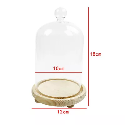 £10.95 • Buy Glass Dome Cloche Bell Jar Flower Display Wood Base Stand Craft Miniature Decor