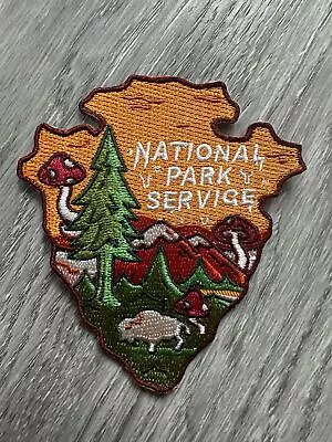 National Park Services USA Iron On Sew On Trippy Patch 3.5” • $9