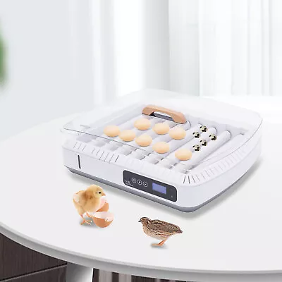 White Incubator Automatic Egg Turning Hatcher Quail Chicken Duck Eggs Hatcher • $110