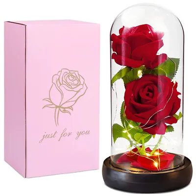 Preserved Eternal Rose In Glass Galaxy Flower Dome LED Light Mothers Day Gifts • $27.99