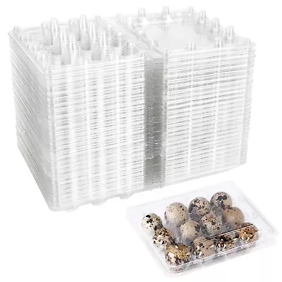 100 X Quail Egg Box Plastic Boxes  Cartons Flat Top Buy 3 Get 1 Free • £16.99