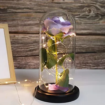 Beauty And The Beast Rose Purple Rose And Led Light In A Glass Dome For Mothe... • $35.04