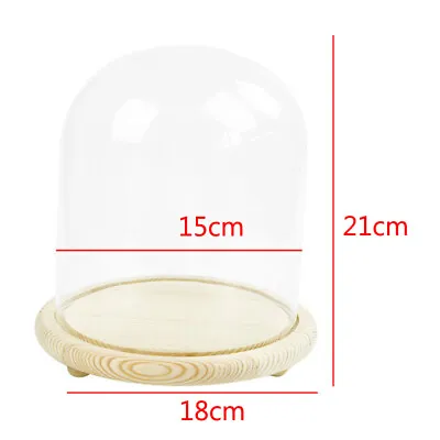 £14.95 • Buy Wooden Base Glass Display Dome Cloche Bell Jar Flower Decorative Display Stands